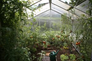 jardins botaniques