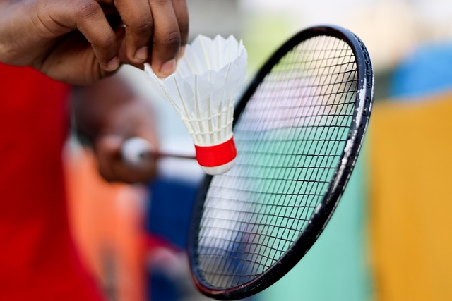 Le badminton