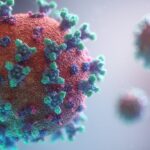 maladies infectieuses
