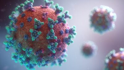 maladies infectieuses